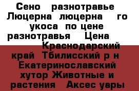 Сено : разнотравье, Люцерна, люцерна 1 -го укоса( по цене разнотравья) › Цена ­ 100-1000 - Краснодарский край, Тбилисский р-н, Екатеринославский хутор Животные и растения » Аксесcуары и товары для животных   . Краснодарский край